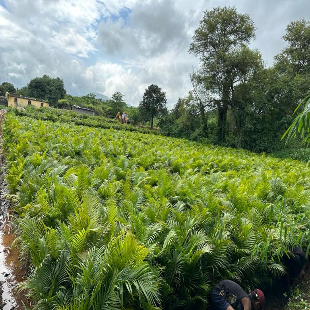 WhatsApp Image 2025-10-28 at 3.19.39 PM (3)