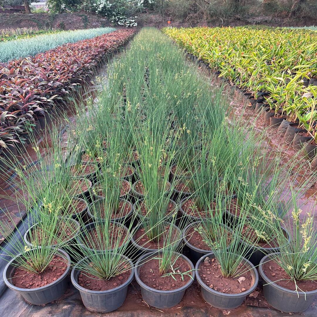 WhatsApp Image 2025-10-28 at 3.19.50 PM (2)