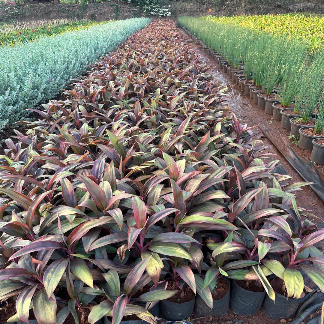 WhatsApp Image 2025-10-28 at 3.19.53 PM (2) (1)